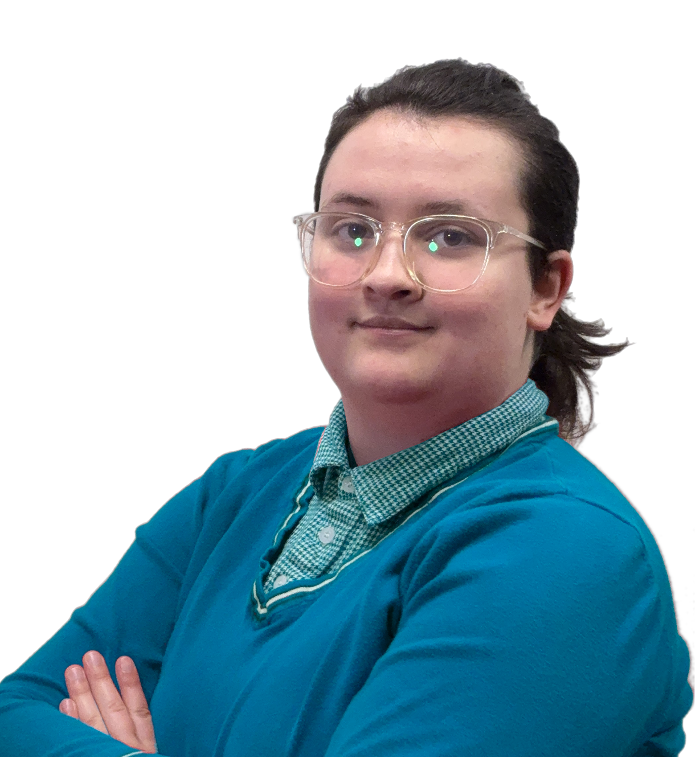 transparent soph portait